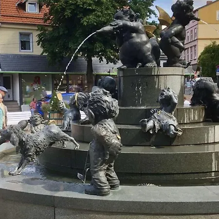 Mester Mit Schwimmbad Sauna Bad Harzburg