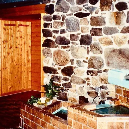 Mester Mit Schwimmbad Sauna * Bad Harzburg