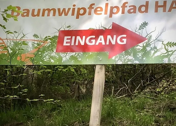 Mester Mit Schwimmbad Sauna Дом отдыха Бад-Гарцбург